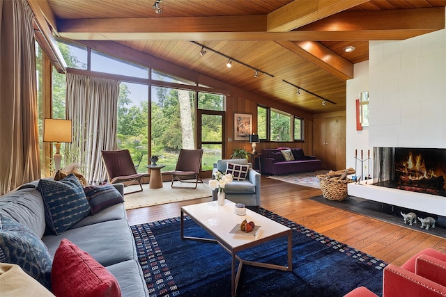 280 Salem Rd, Pound Ridge, NY 10576 - living area with rail lighting, wooden ceiling, hardwood / wood-style floors, and a large fireplace
