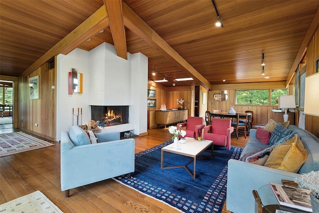 280 Salem Rd, Pound Ridge, NY 10576 - living room featuring rail lighting, wood-type flooring, wood ceiling, wooden walls, and a multi sided fireplace