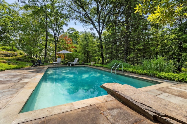 280 Salem Rd, Pound Ridge, NY 10576 - swimming pool with a patio