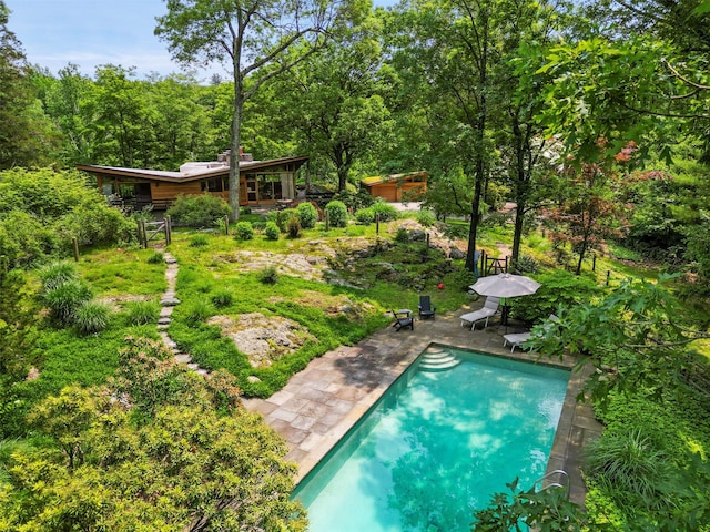 280 Salem Rd, Pound Ridge, NY 10576 - outdoor pool with a patio area and a forest view
