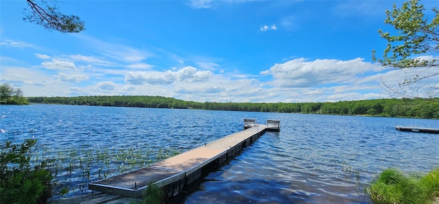 LOT20.22 Woods Rd, Barryville, NY 12719