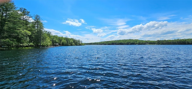 LOT20.22 Woods Rd, Barryville, NY 12719