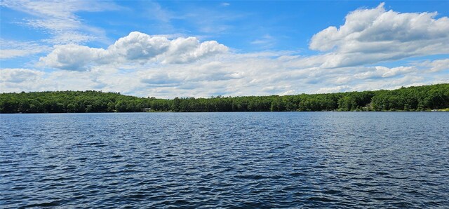 LOT20.22 Woods Rd, Barryville, NY 12719