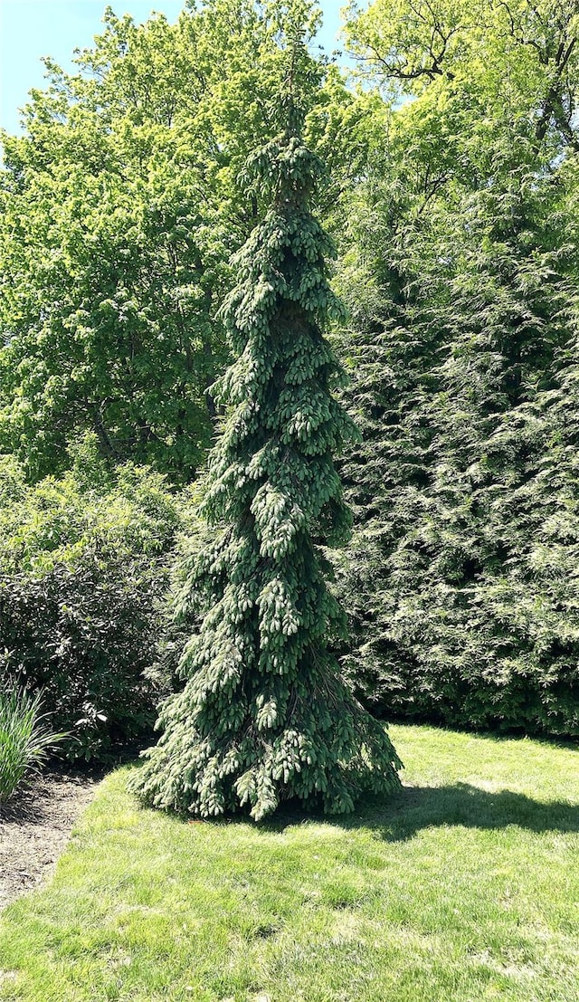 43 Glenwood Rd, New City, NY 10956 - view of green lawn