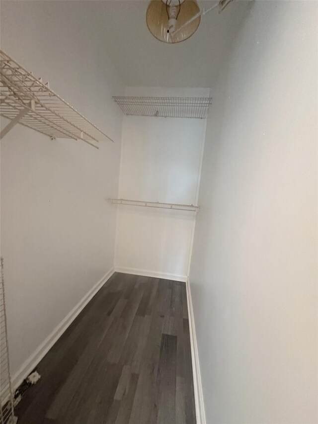 walk in closet featuring dark wood-type flooring