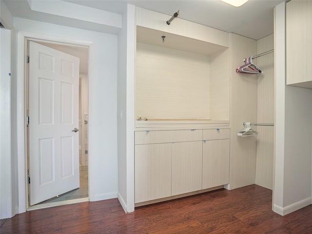 spacious closet featuring dark wood finished floors