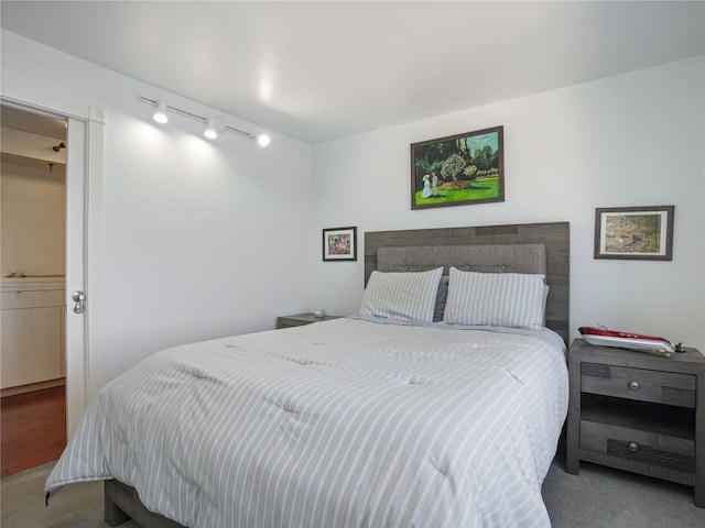 bedroom featuring carpet floors and rail lighting