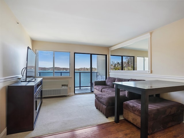 living area featuring plenty of natural light and wood finished floors