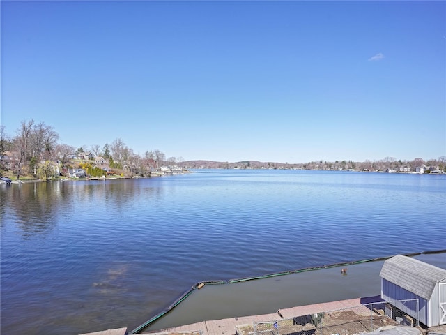 dock area with a water view