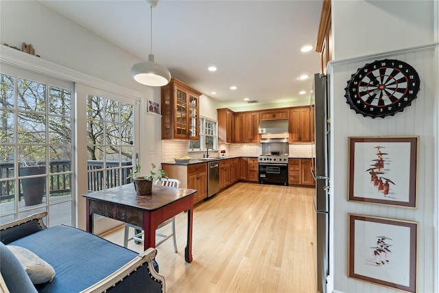 kitchen with stainless steel dishwasher, light wood-style floors, plenty of natural light, and gas range