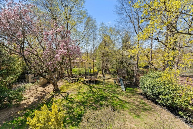 view of yard with a trampoline