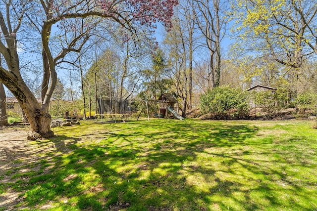 view of yard with a trampoline and a playground
