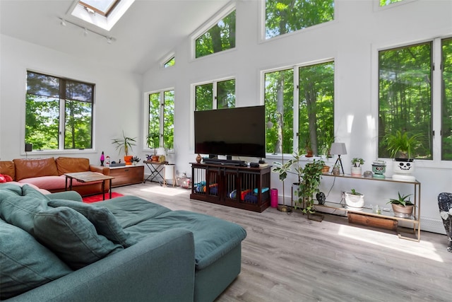 2358 Maple Ave, Cortlandt Manor, NY 10567 - living area with a skylight, high vaulted ceiling, and wood finished floors