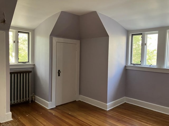 additional living space with wood finished floors, radiator heating unit, baseboards, and vaulted ceiling