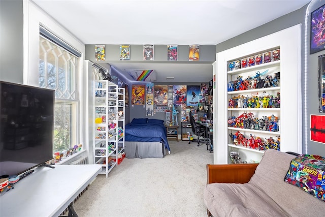 3 Druid Hill Rd, Port Jefferson, NY 11777 - view of carpeted bedroom