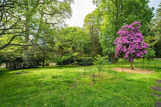 3 Druid Hill Rd, Port Jefferson, NY 11777 - view of green lawn