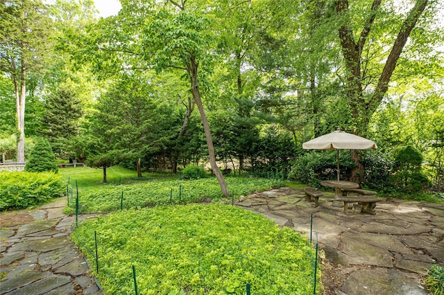 3 Druid Hill Rd, Port Jefferson, NY 11777 - view of yard with a patio area