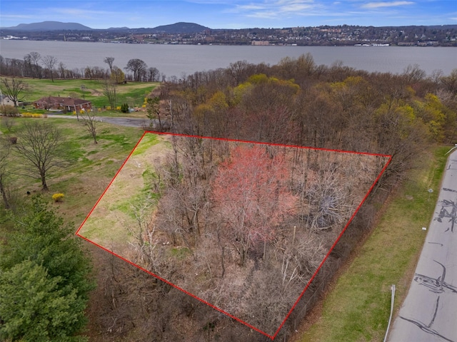 65 Monell Pl, Beacon, NY 12508 - photo 2
