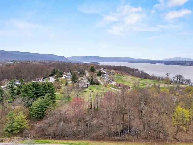 65 Monell Pl, Beacon, NY 12508 - photo 4