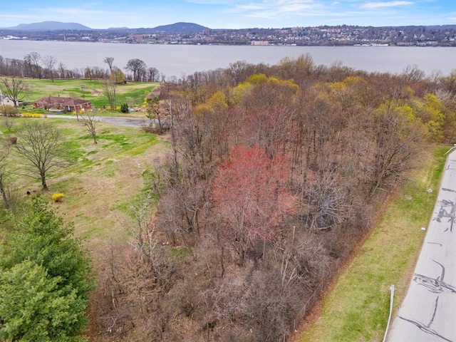 65 Monell Pl, Beacon, NY 12508 - photo 5
