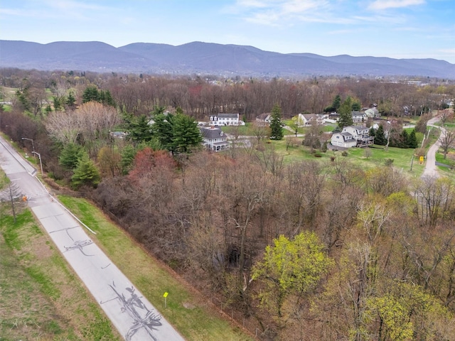 65 Monell Pl, Beacon, NY 12508 - photo 9