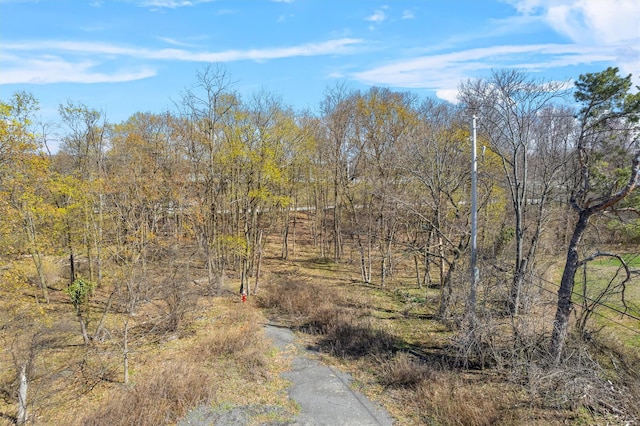 65 Monell Pl, Beacon, NY 12508 - photo 12