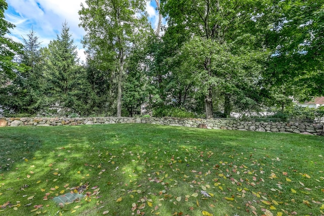 view of yard