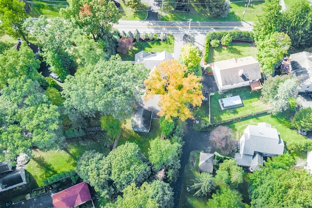 bird's eye view