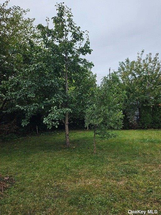 806 Oliver Ave, Westbury, NY 11590 - photo 20