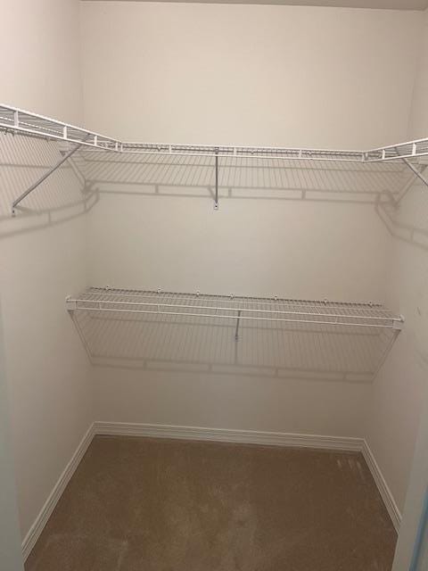 703 Pebble Beach Path, Riverhead, NY 11901 - spacious closet featuring carpet flooring