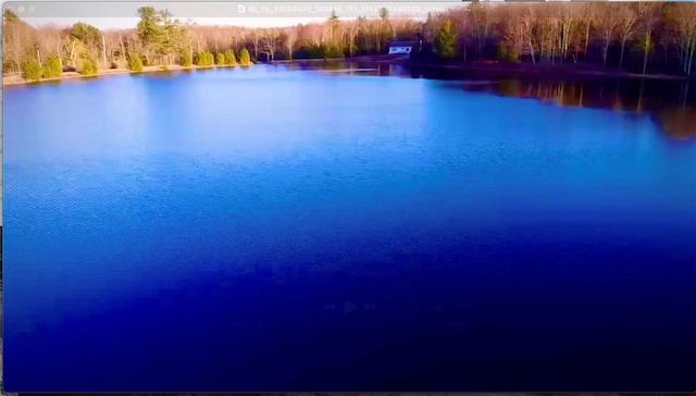view of water feature