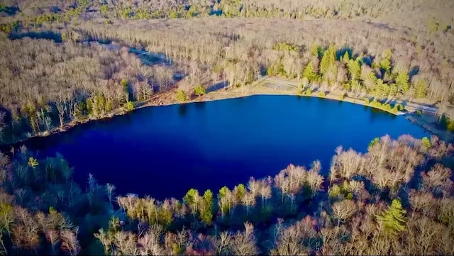 drone / aerial view with a water view and a forest view