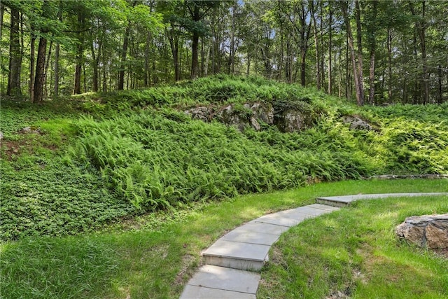 view of yard featuring a wooded view