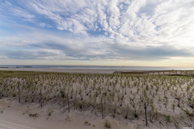 view of local wilderness with a beach view and a water view