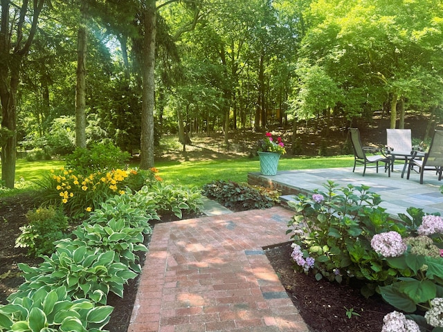 41 Harbor Hill Dr, Lloyd Harbor, NY 11743 - photo 31