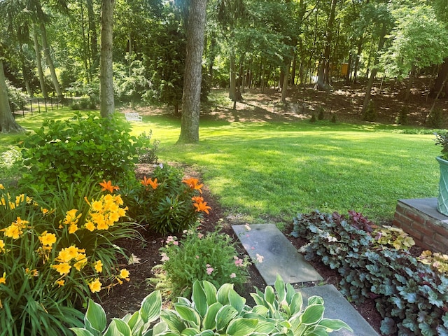 41 Harbor Hill Dr, Lloyd Harbor, NY 11743 - photo 36