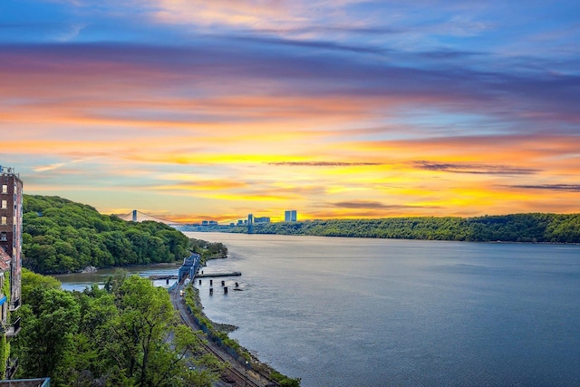 2521 Palisade Ave Unit 6A, Bronx, NY 10463 - water view with a dock
