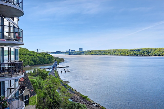 2521 Palisade Ave Unit 6A, Bronx, NY 10463 - water view