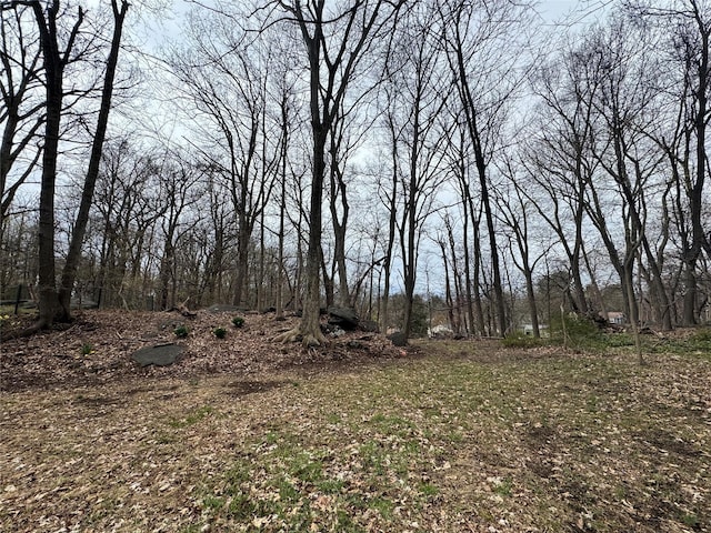view of landscape