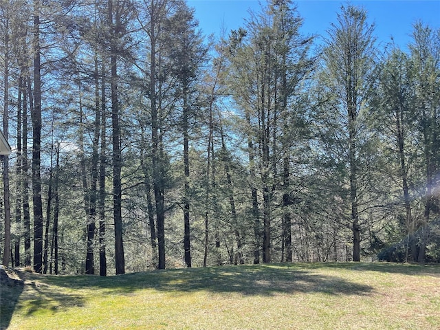 58 Baker Rd, Bearsville, NY 12409 - photo 8