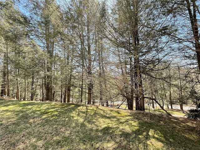 58 Baker Rd, Bearsville, NY 12409 - photo 9
