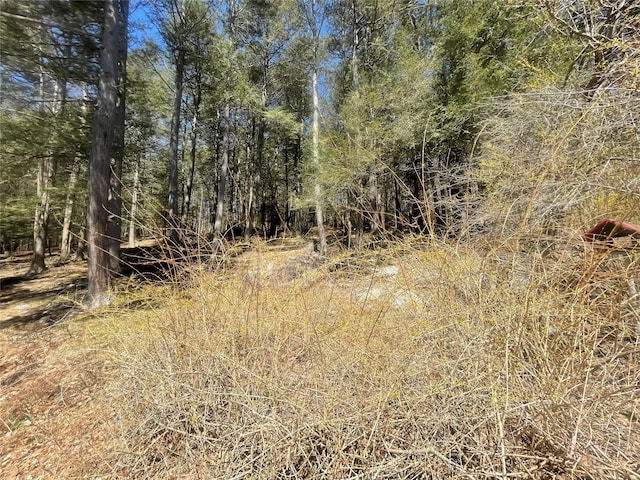 58 Baker Rd, Bearsville, NY 12409 - photo 10