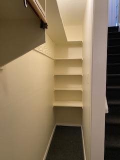 30 Treno St, New Rochelle, NY 10801 - view of spacious closet