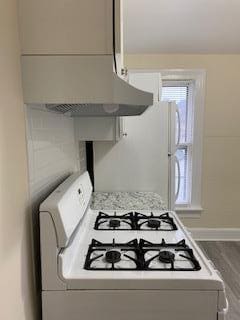 30 Treno St, New Rochelle, NY 10801 - kitchen featuring baseboards, white appliances, light countertops, wood finished floors, and ventilation hood