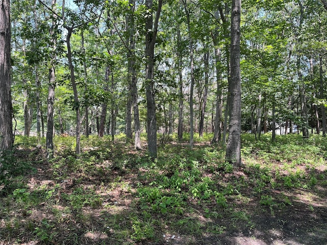 75 Montauk Hwy, Westhampton, NY 11977 - photo 2