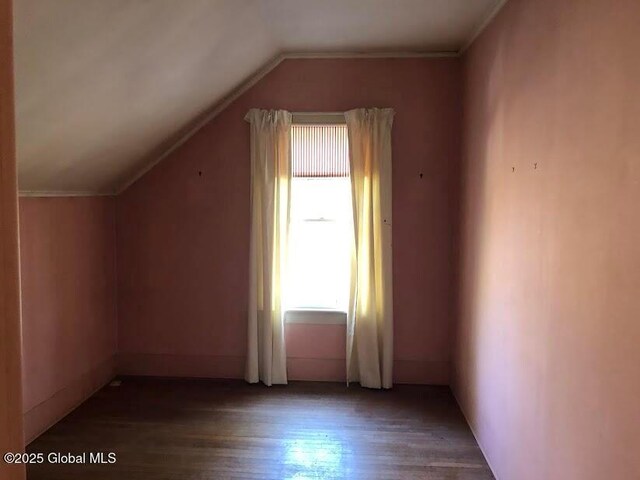 bonus room with a healthy amount of sunlight, vaulted ceiling, and wood finished floors