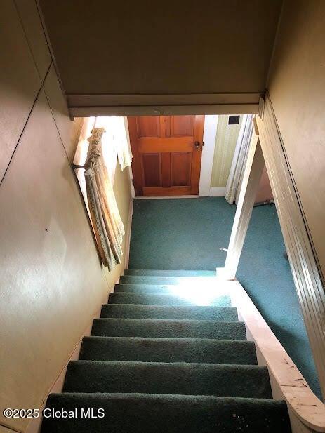 staircase featuring carpet flooring