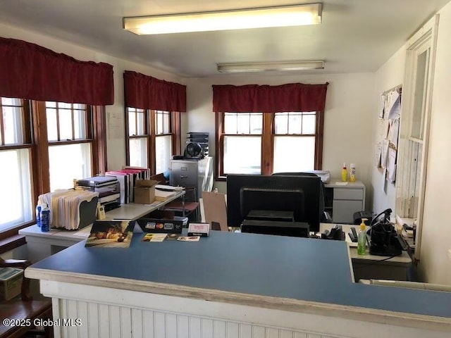home office featuring a wealth of natural light