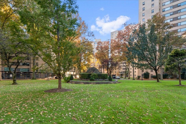 view of property's community with a lawn