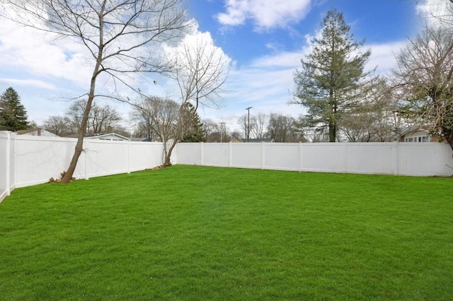 view of yard with a fenced backyard